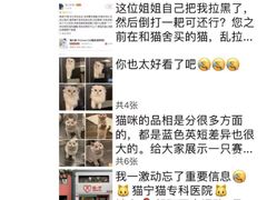 -猫大福·Fortune Cat猫舍(百子湾店)