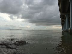 -宝安西湾红树林湿地公园