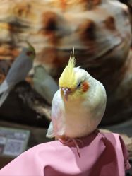 -Zoolung Zoolung动物主题公园(海信广场店)