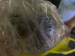 -北香园饺子馆(锦华路店)