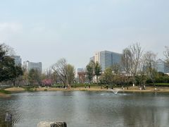 -成都市实验小学(人民中路校区)