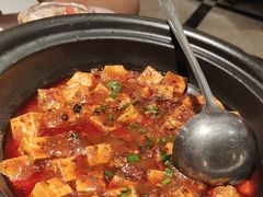-大鸭梨烤鸭店(花园村店)