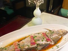 招牌清蒸钱塘江白条-柳莺湖上·湖景餐厅·江南菜(西湖店)