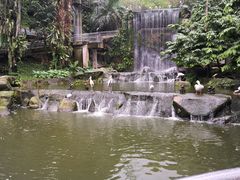 -吉隆坡雀鸟公园