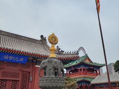 -天津大悲禅院