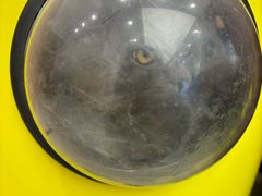 -瑞派康怡24h宠物医院·犬猫医疗中心·微创绝育(瑞景分院)