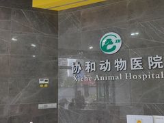 -瑞鹏瑞爱宠物医院·全科·猫科·血液透析中心(龙头寺店)