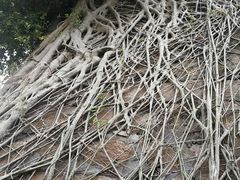 -东望洋炮台东望洋灯塔