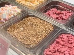 -Salud撒露欧洲冻酸奶(蓝色港湾店)