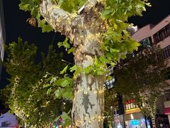 -上海哈尔滨食品厂(淮海中路店)