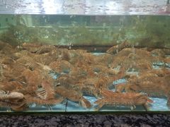 -天然居·漳港海鲜·海景餐厅(南澳总店)