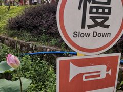-红山村