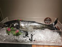 -逸道(益丰·外滩源店)