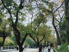 -水濂山森林公园