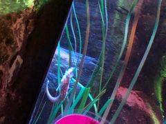 -沈阳海洋探索中心