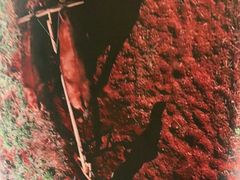 -祥福村
