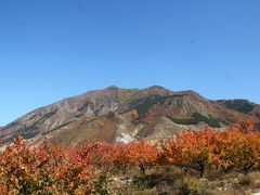 -小五台金河景区