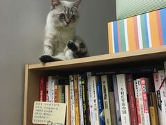 -立德动物医院·异宠·CT·鹦鹉(天河店)