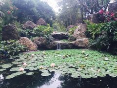 -晓港公园