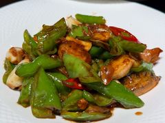 -单家老院·院子里的青岛菜(沙子口店)