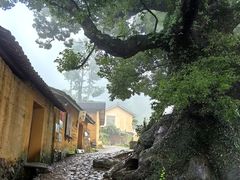 -杨家堂村