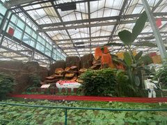 -兰陵国家农业公园