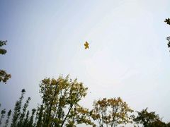 -眉山湿地公园(东坡区)
