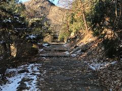 -北京鹫峰国家森林公园