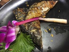 -月见·烧鸟酒场居酒屋(农科路店)