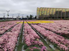 -中国天府农业博览园