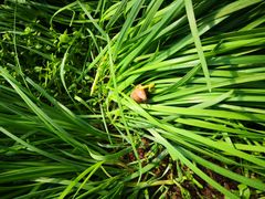 -万源龙顺度假庄园生态观光园