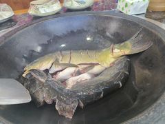 -边江铁锅炖鱼(振八街店)