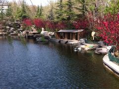 iphone_upload_pic-山东大厦