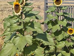 -溪口-滕头旅游景区