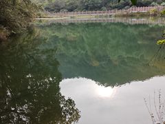 -桃花岭景区