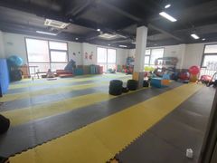 -能量小象·感统·专注力·语言(黄岛校区)