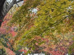 -秋霞圃