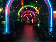 -The Grounds of Alexandria