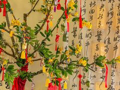 -苏梦江南·淮扬菜(夫子庙店)