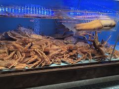 -阿伟海鲜楼·福建菜(延寿店)