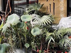 -琥珀川糟粕醋火锅(慈云寺店)