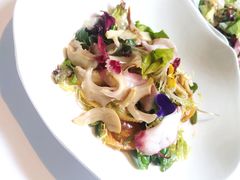 -蝶舍·MAISON PAPILLON