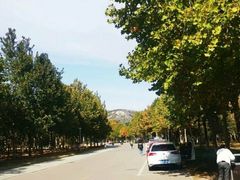 -山东师范大学(千佛山校区)