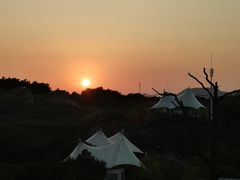 -帐篷客·溪龙茶谷度假酒店