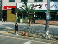 -乐天免税店(明洞店)