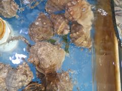 -万福缘海鲜家常菜