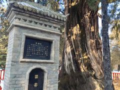 -黄帝陵