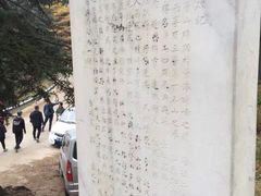 -芦芽山旅游度假区