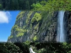 -龙苍沟森林公园