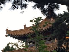 -乐道好声音量贩式KTV(北行店)